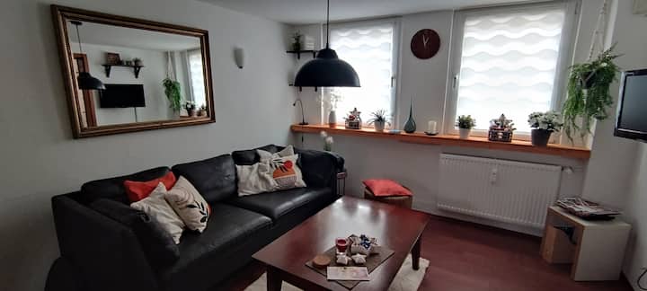 Helle, Kleine Wohnung In Der Altstadt Mit Garten! - Bad Sassendorf