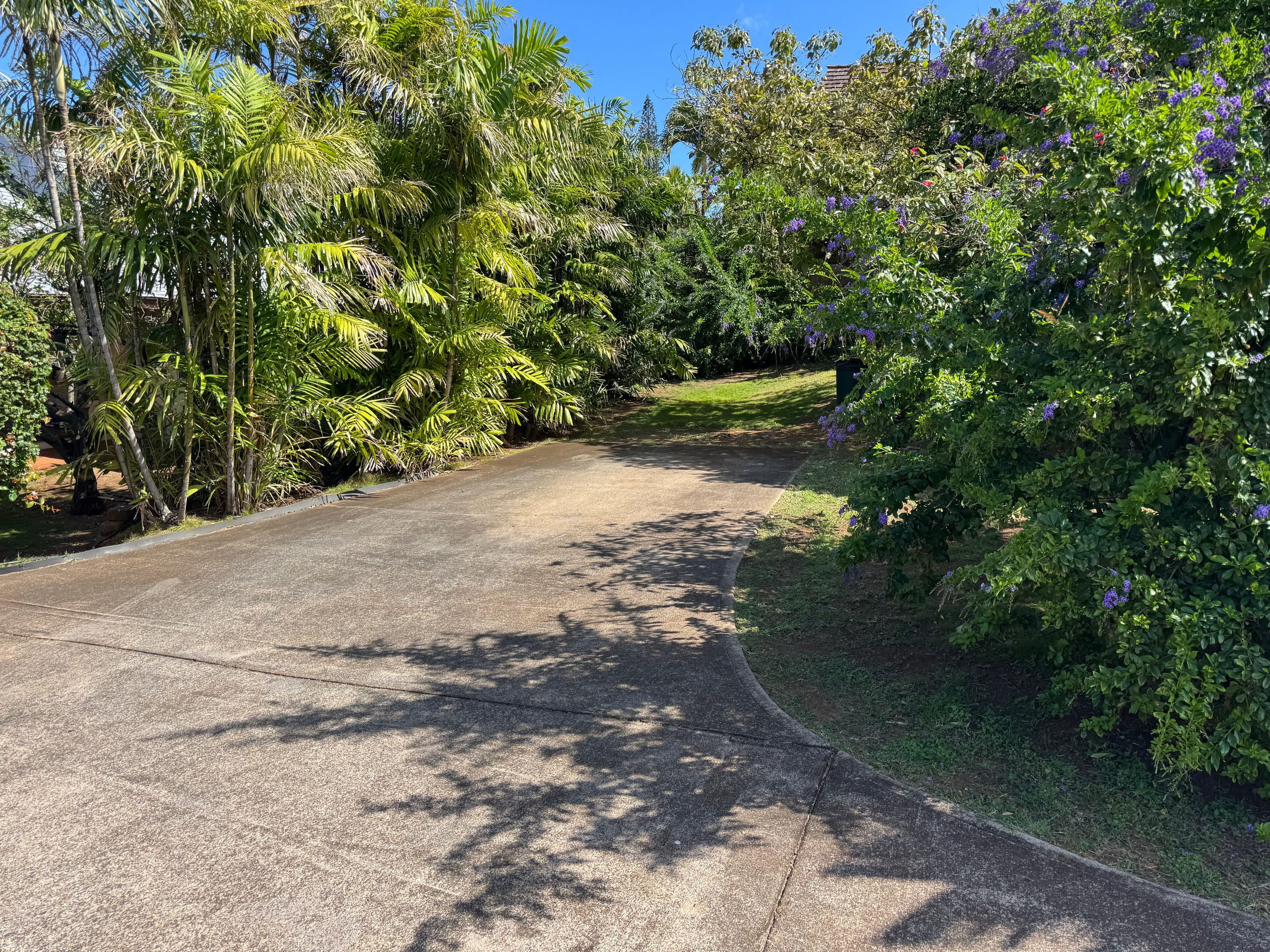 Guesthouse in Paia · ★4.93 · 1 bedroom · 1 bed · 1 bath - Photo 38