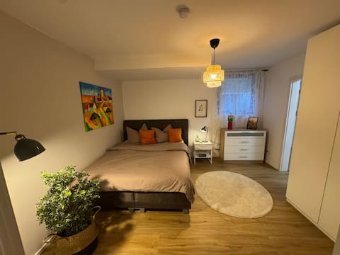 Beautiful apartment(basement) with private entrance. 1.5Z.