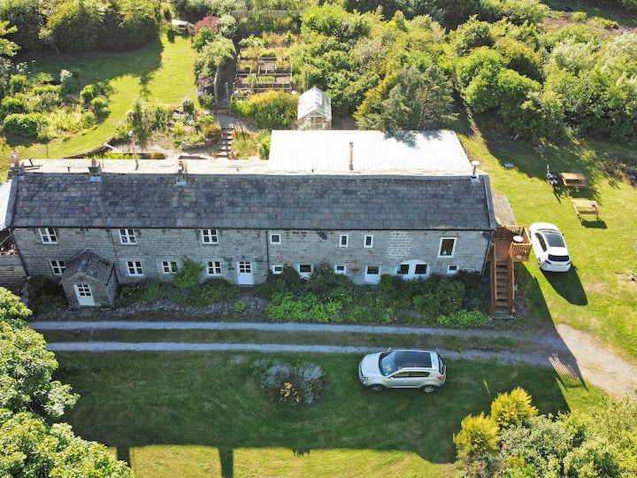 Arthur Bear - Uk37992 - Grassington