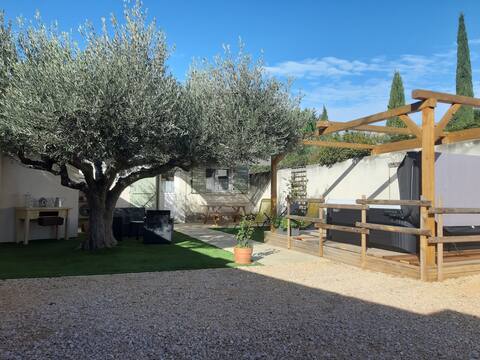 Under the olive tree