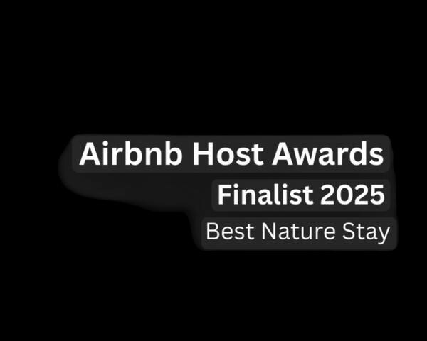 Lobster Pot Cabin – Waterfront Escape Freycinet gallery image 4