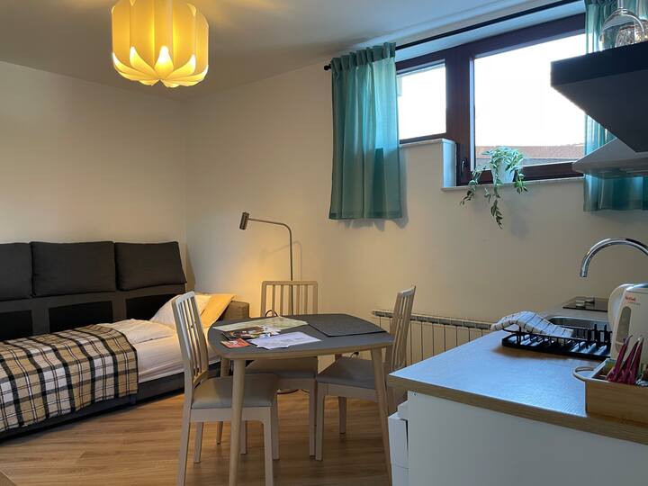 All Seasons Apartments Lasko - Laško