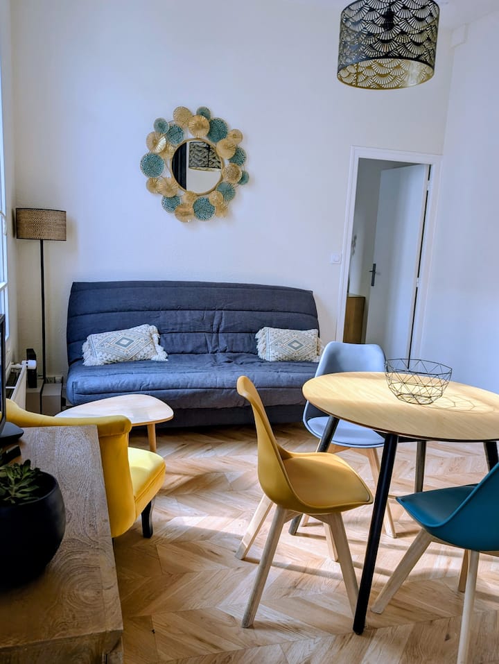 Appartement Plein Centre Troyes - Troyes