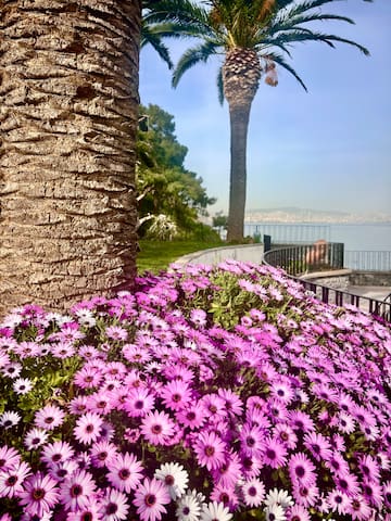 Denize sıfır, havuzlu, bahçeli villa gallery image 3