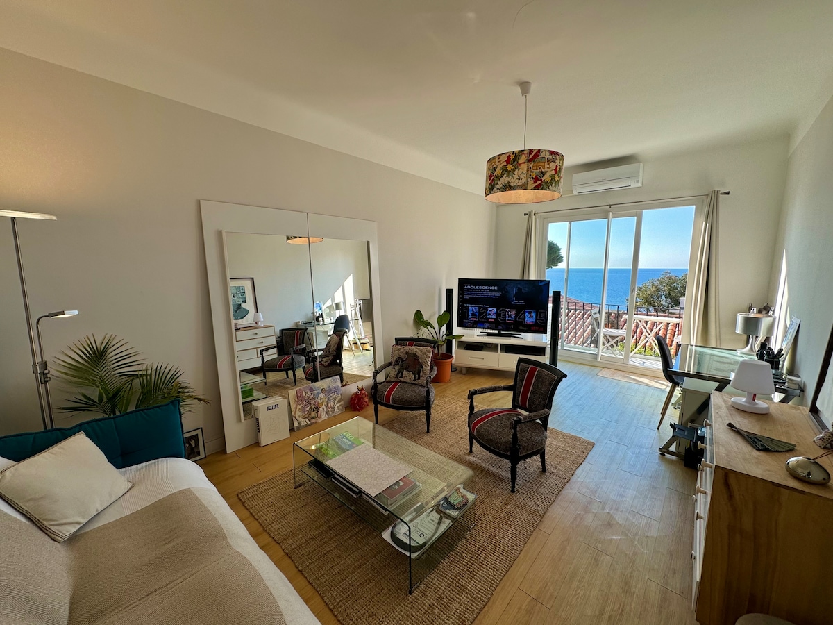 Popular Airbnb listing: Cozy apartment, Panoramic sea view in Mont Boron