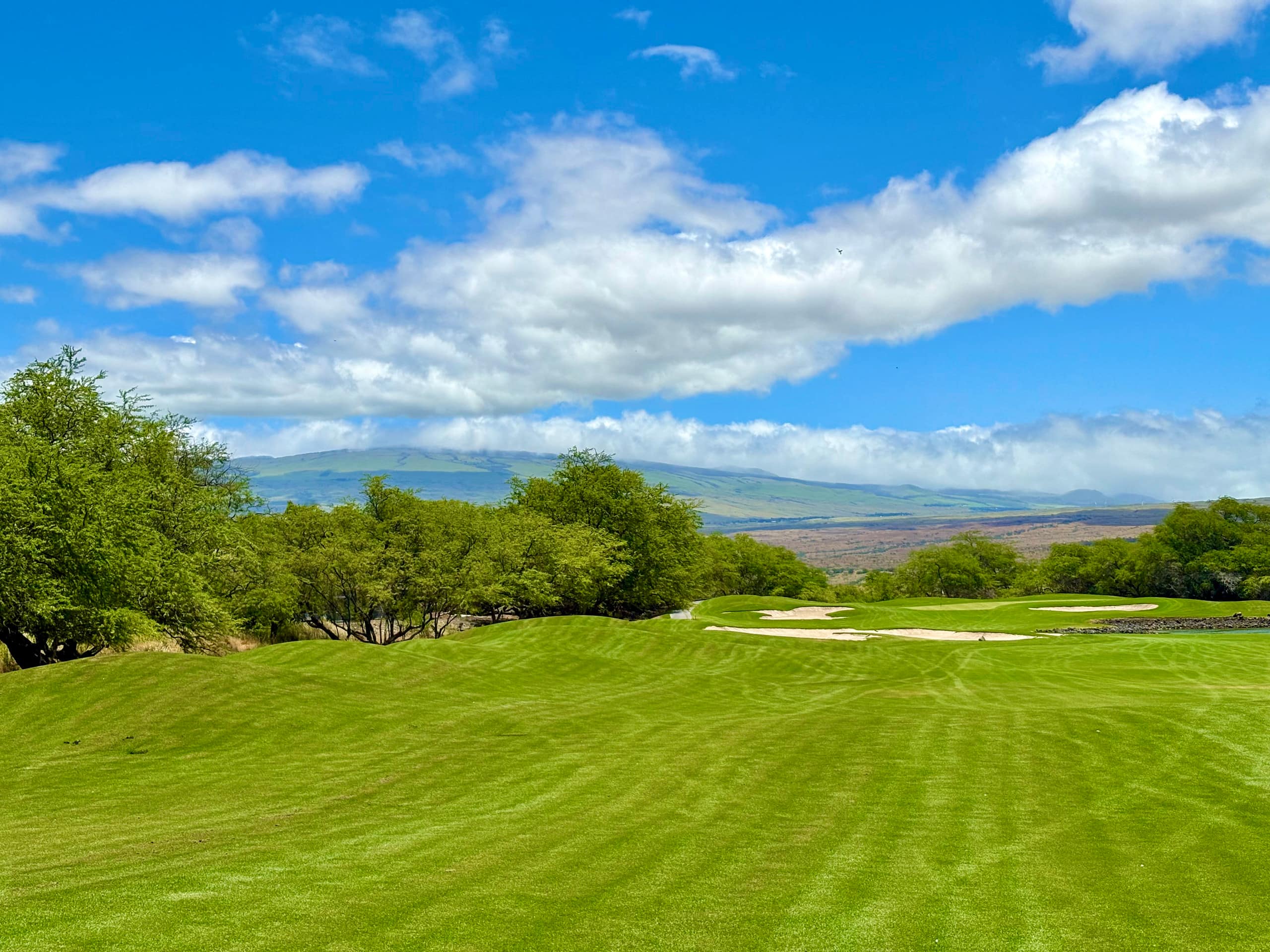 Condo in Waimea · ★4.93 · 3 bedrooms · 4 beds · 2.5 baths - Image 12