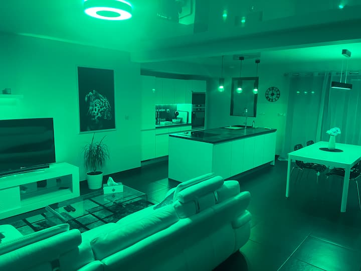 Maison Jardinclos Jacuzzi Billard
à12min D Orléans - Loiret
