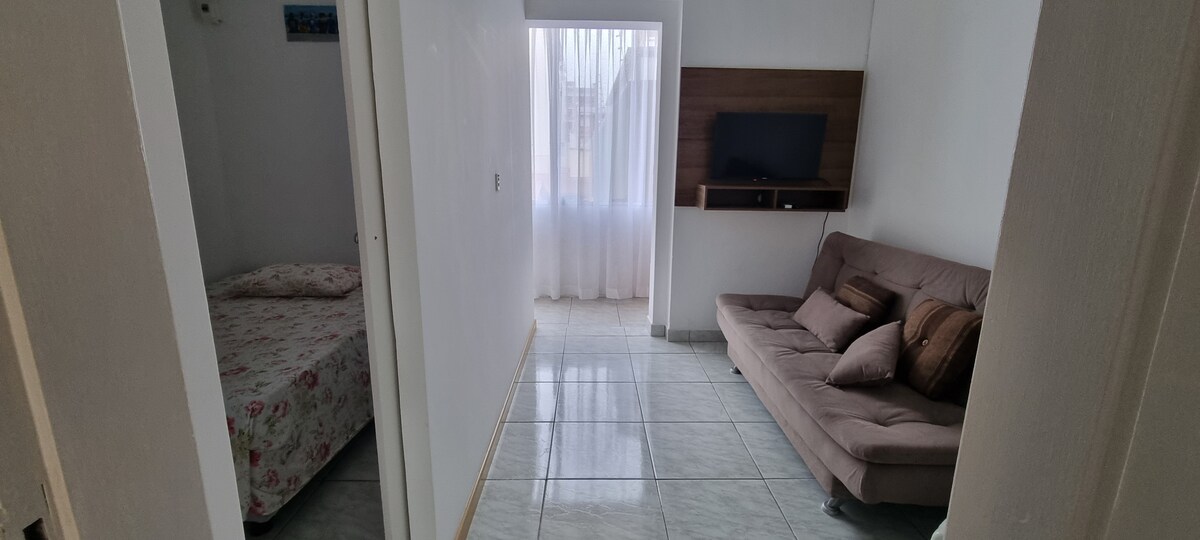 Მისაღები ოთახი ტელევიზორითა და გასაშლელი დივნით. 