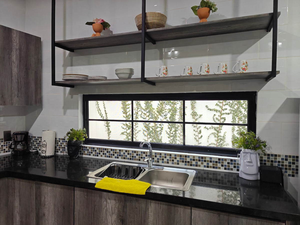 A modern kitchen is featured with dark wood cabinetry and open shelving that displays dishware and potted plants. A double sink is positioned beneath a large window, allowing natural light and offering a view of greenery outside. A bright yellow towel adds a splash of color to the counter.