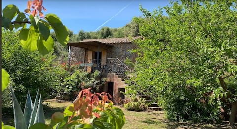 Successful Airbnb property: SWEET HOME LUCIA sea view in Aglientu
