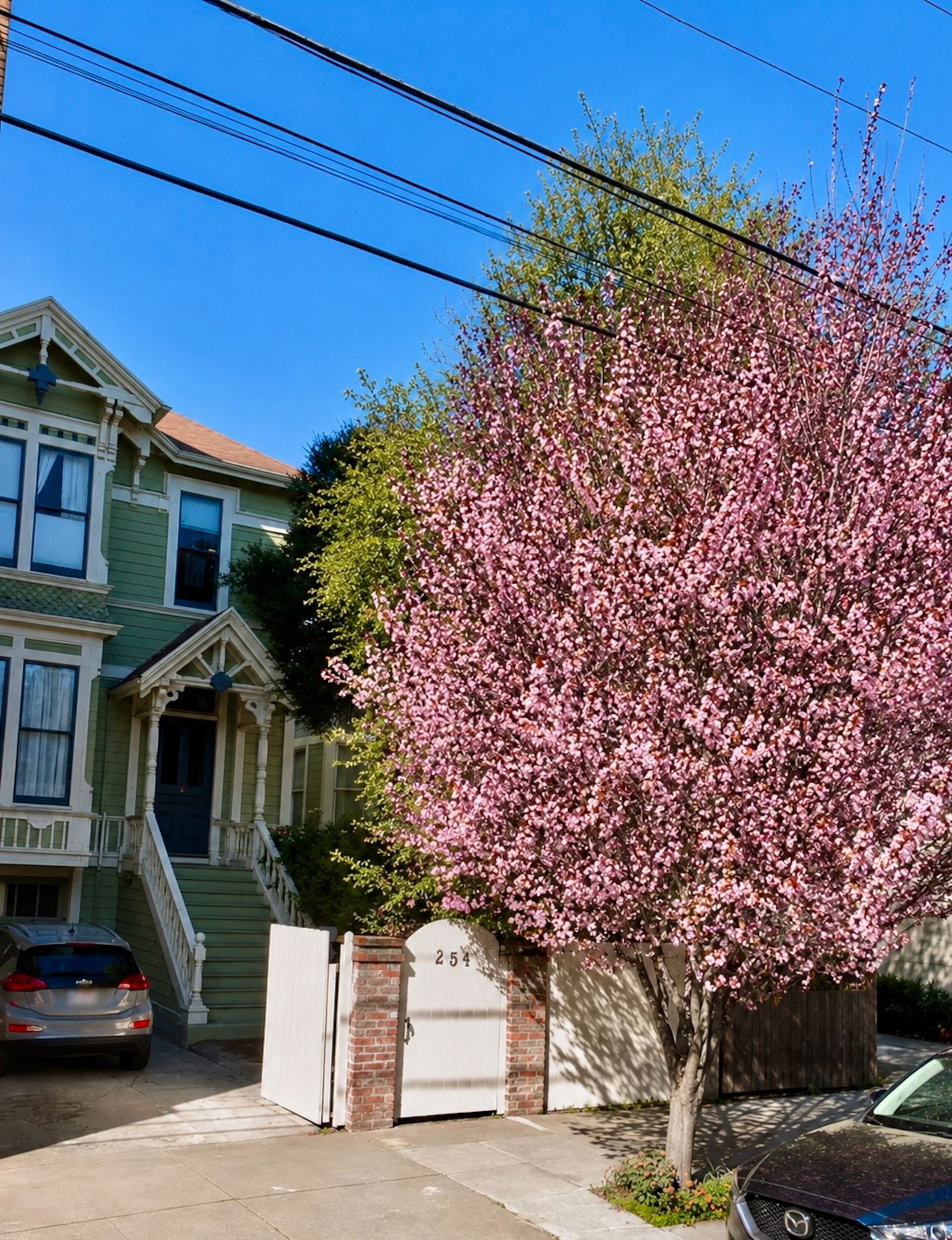 Home in San Francisco · ★4.55 · 3 bedrooms · 3 beds · 2.5 baths - Image 51
