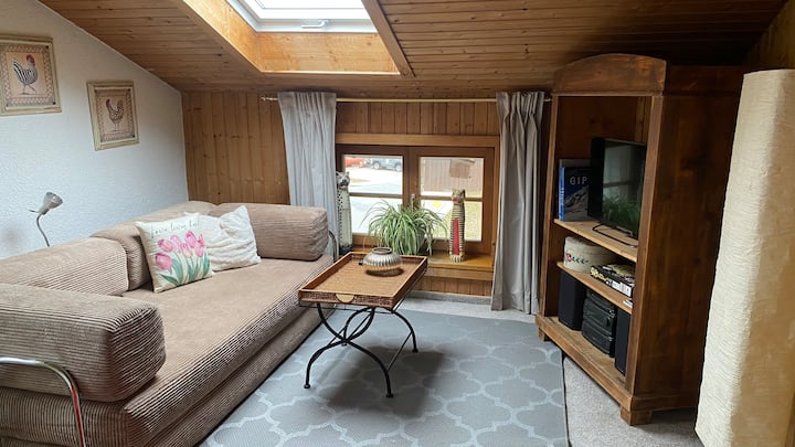 Süsse Wohnung Mit Balkon, Garten, Tiere Erlaubt - Traunstein
