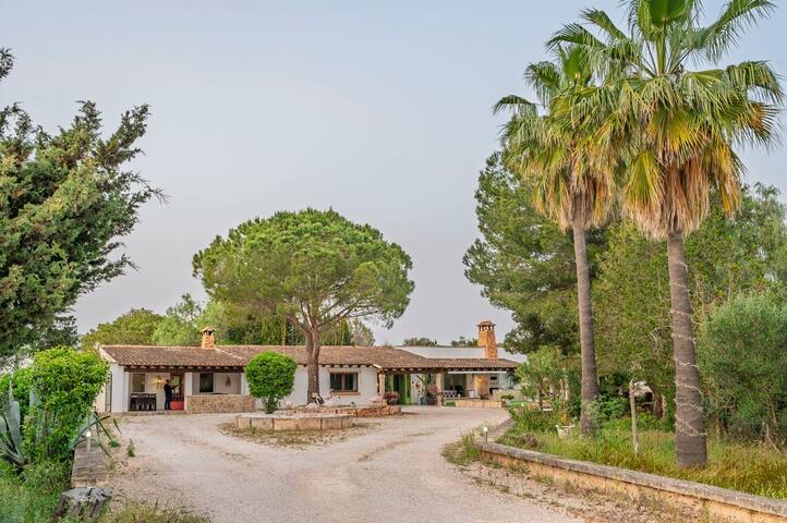 Villa del Artista super lujo gallery image 3