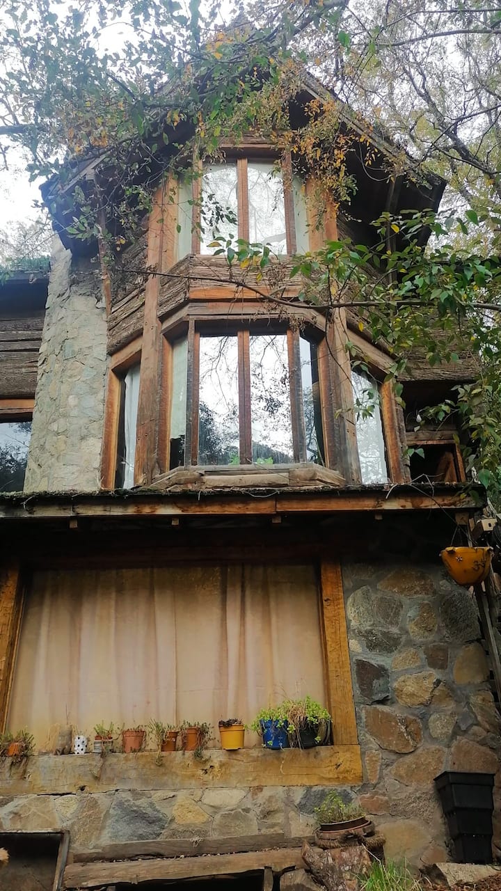 Cabaña Dentro Del Bosque Patagónico (3 Personas) - San Martin de los Andes
