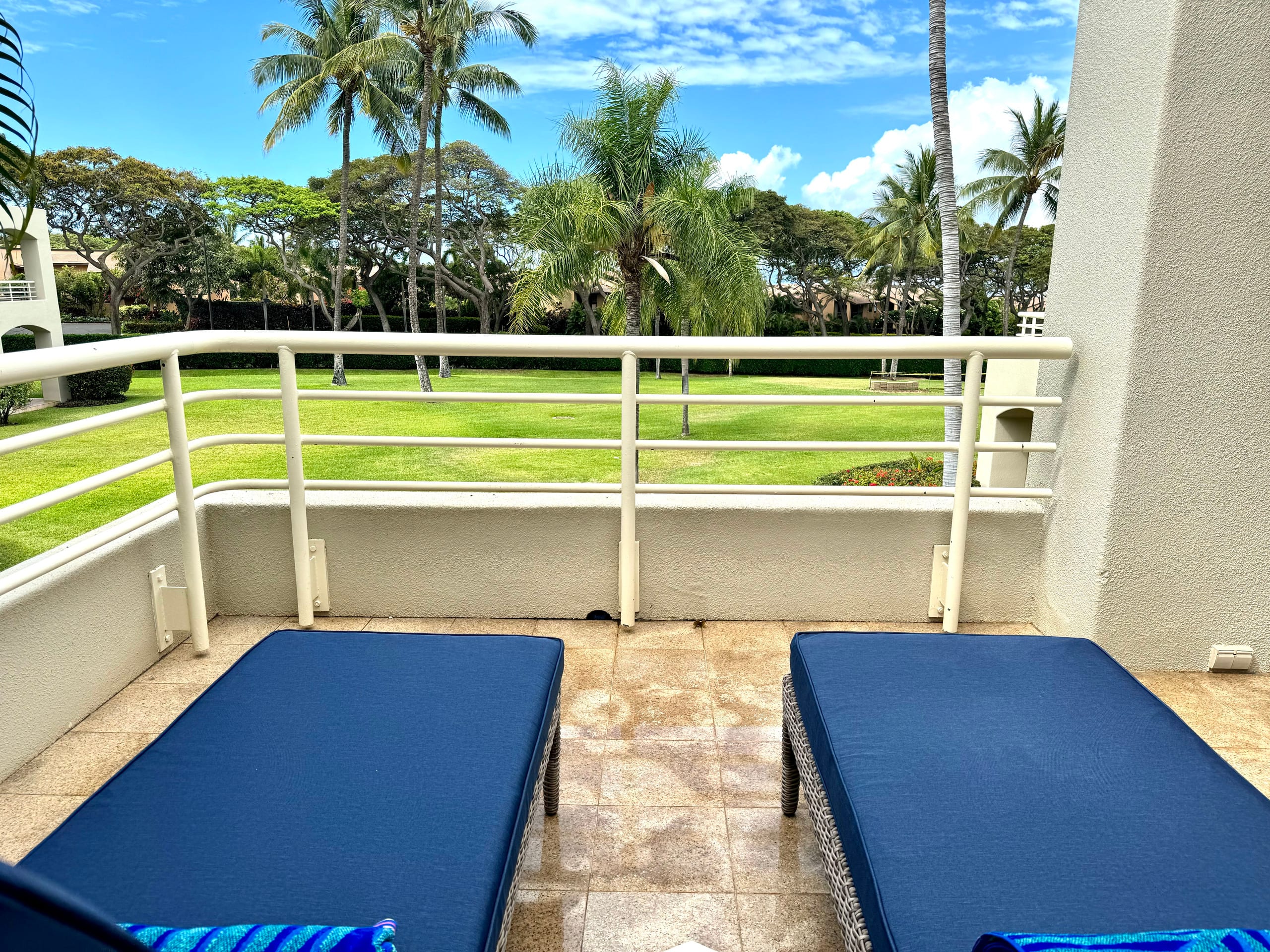 Condo in Wailea · ★4.97 · 1 bedroom · 2 beds · 2 baths - Image 23