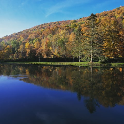 The Pond House ~ 5 Min to Belleayre ~Outdoor Fun