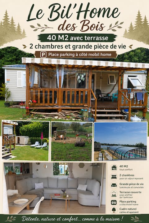 Le Bil' Home des Bois in Normandy - Forest View