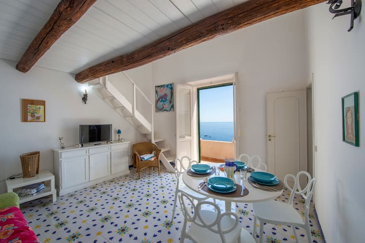 Rosa Sul Mare Positano - Panoramic Sea View - Positano