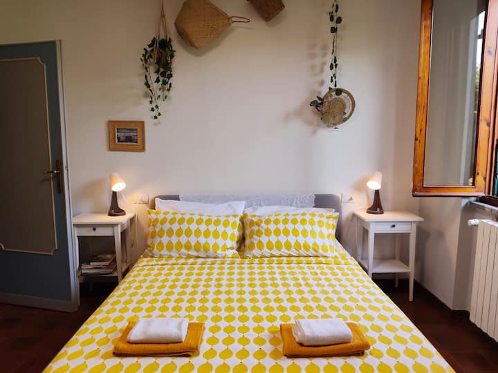 Where Are My Dreams New Eco Friendly Garden Suite - Pisa