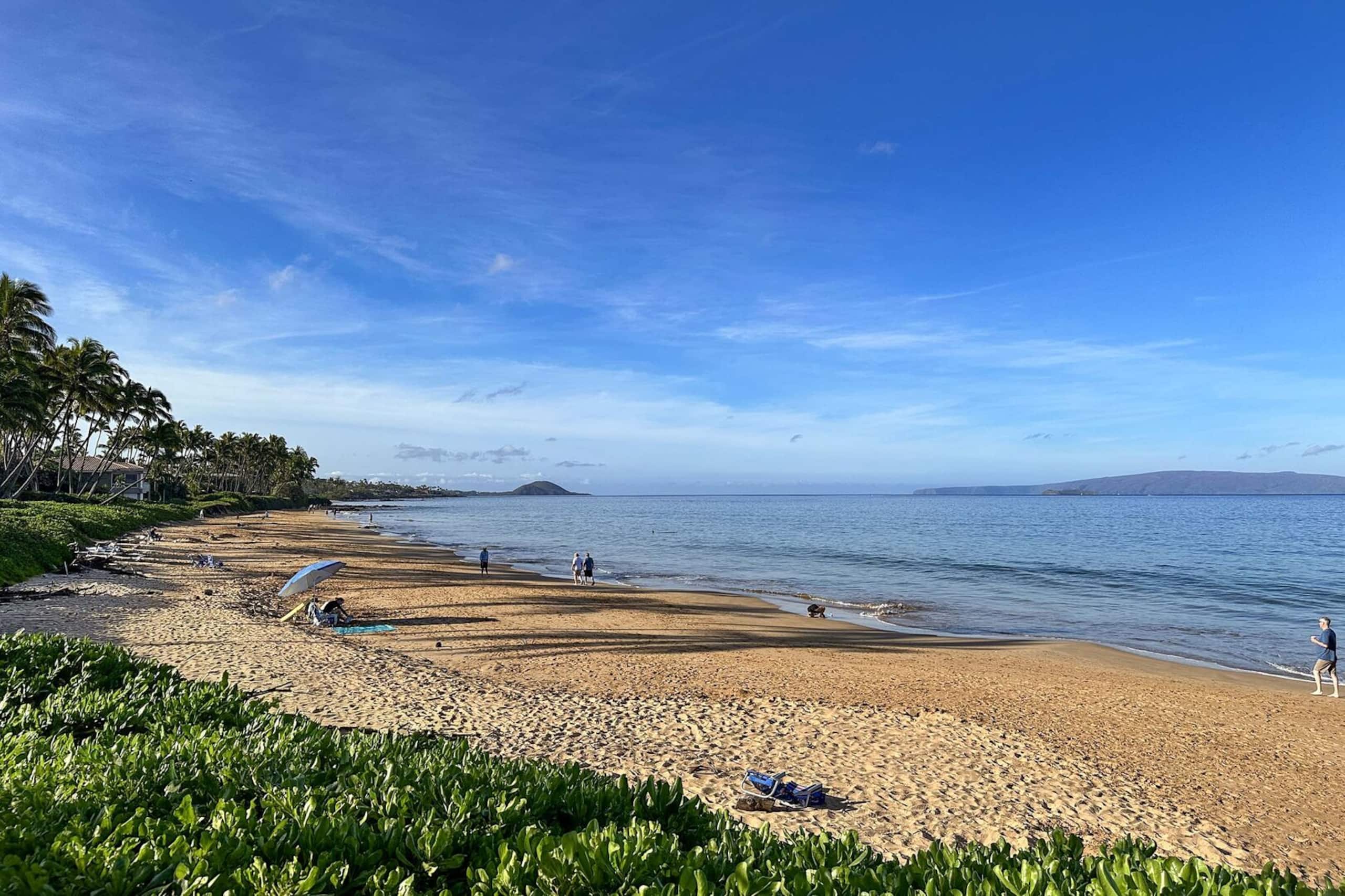 Condo in Kihei · ★4.69 · 2 bedrooms · 4 beds · 2 private baths - Image 34