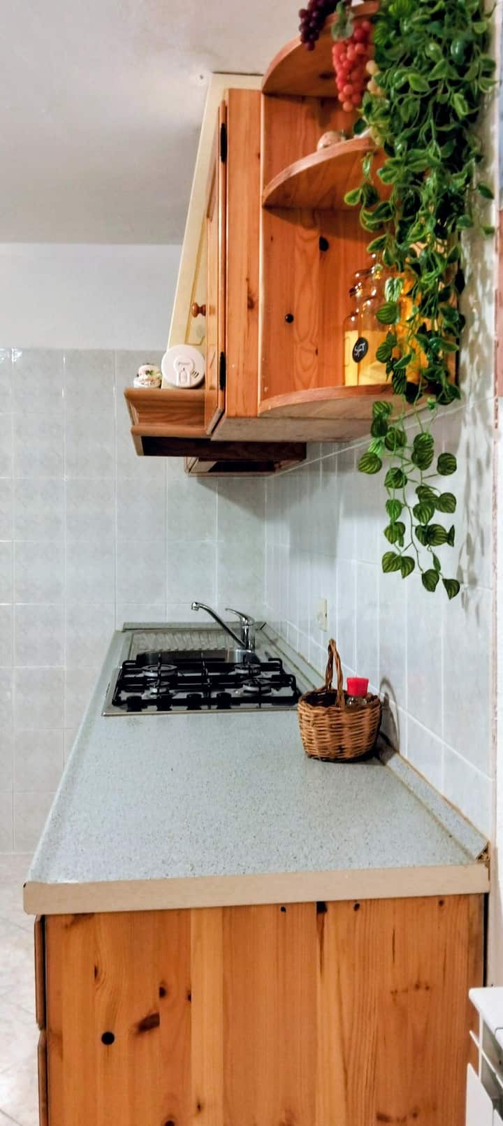 Parkside-apartments.fl
The Gecko - Noli