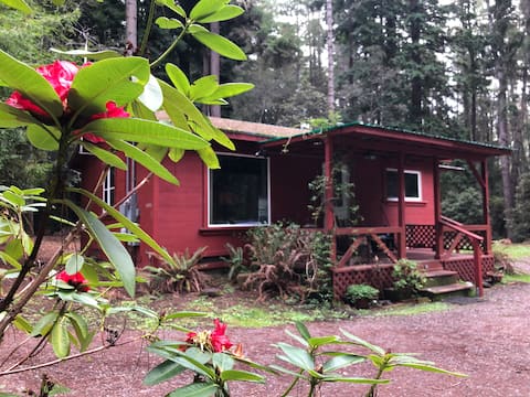 Kona Cabin in the Redwoods