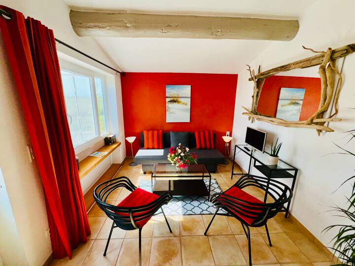 Maisonnette, Vue Imprenable Sur Les Salins - Saint-Laurent-d’Aigouze