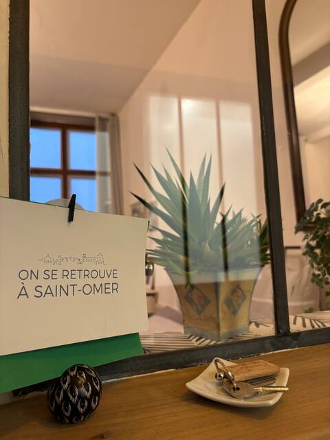 Top Airbnb: In the center, the charm of an Audomaroise house. in Saint Omer