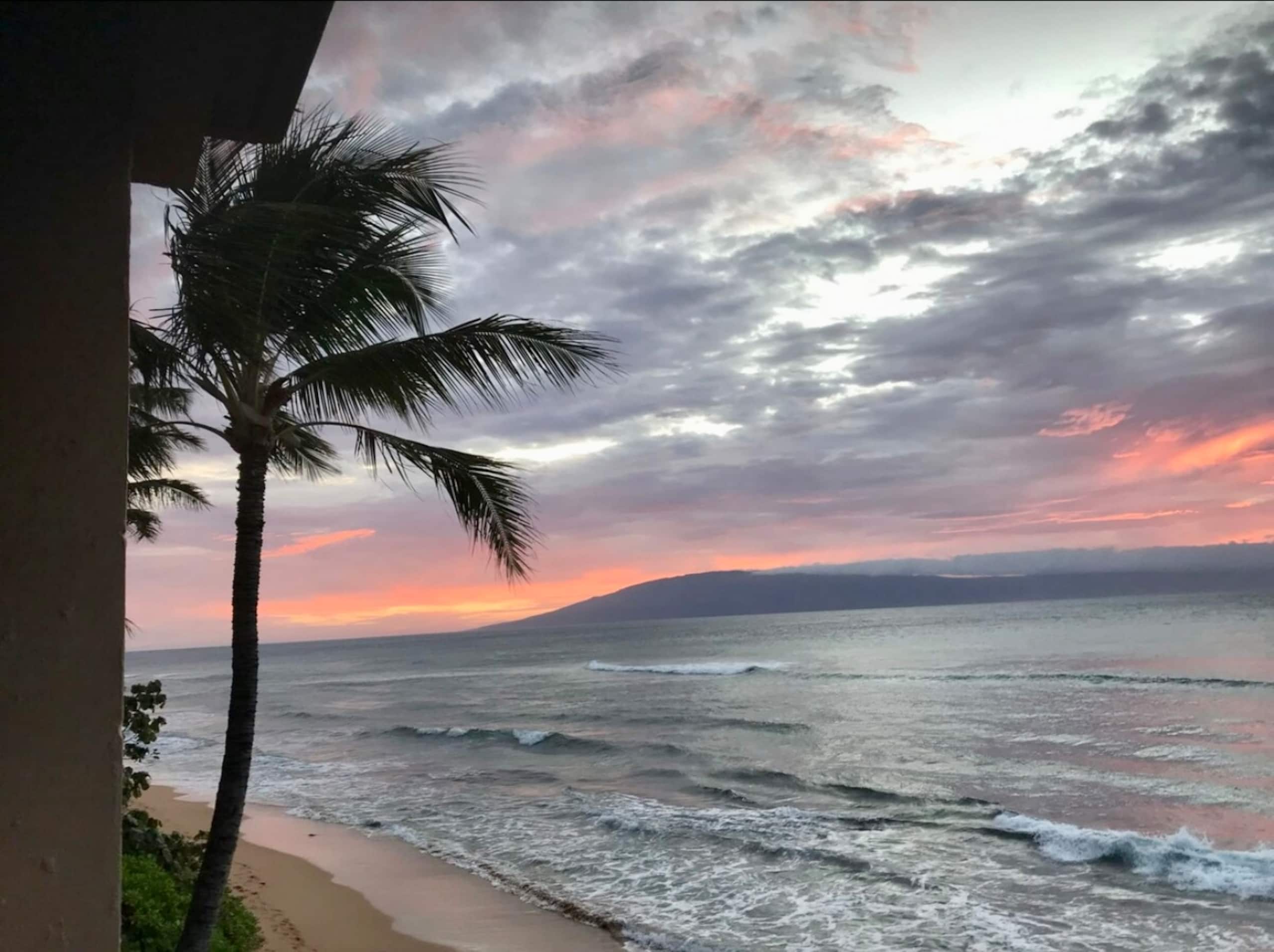 Condo in Lahaina · ★4.93 · Studio · 2 beds · 1 bath - Image 8