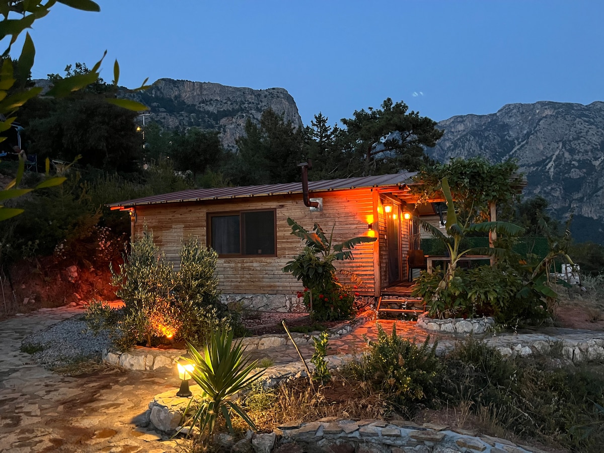 A charming wooden cabin is set against a backdrop of mountains, illuminated by warm lights at dusk. Surrounded by lush greenery, a stone path leads to the entrance, highlighting the natural landscape of the area.