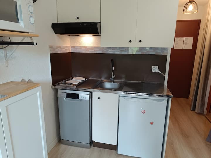 Joli Studio + Balcon, 4 Pers. Puy Stvincent,ecrins - Puy-Saint-Vincent