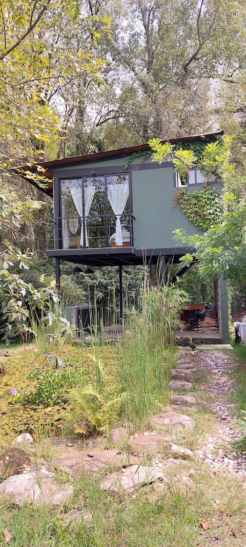 Room the hut