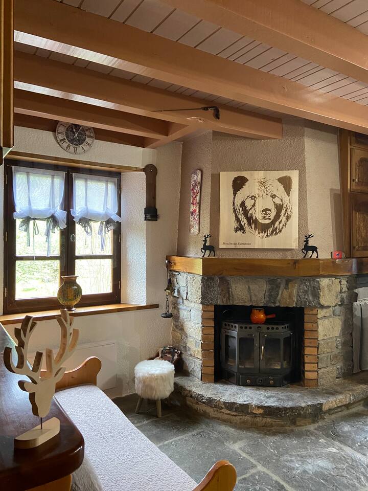 Unusual apartment on an old water mill