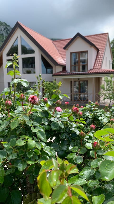 Villa in a pine forest for rent in the village of Ratac