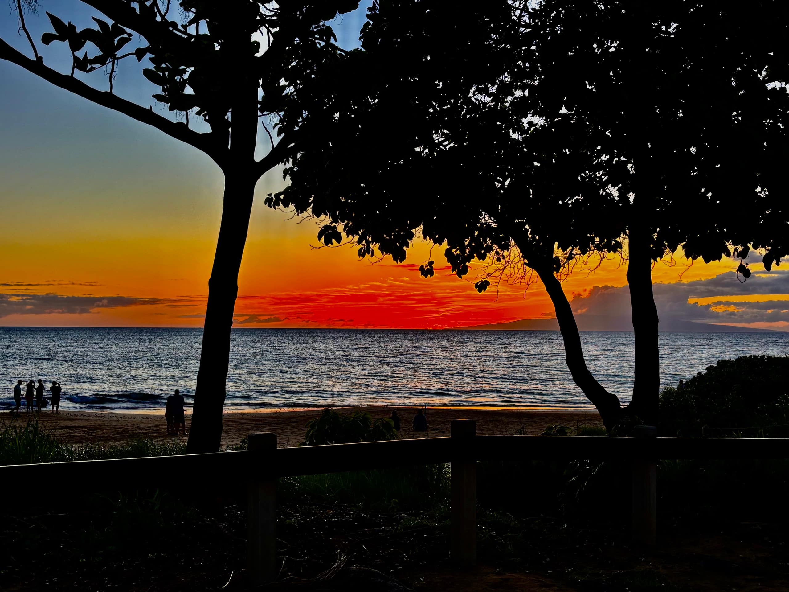 Condo in Kihei · ★4.94 · Studio · 1 bed · 1 bath - Image 6