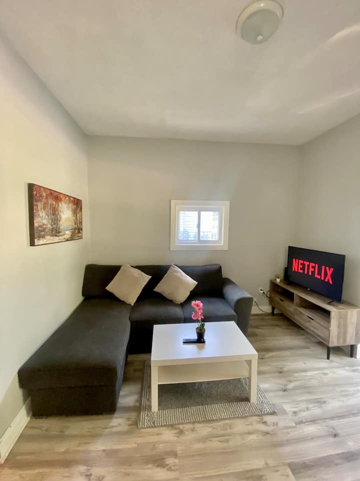 Bright And Beautiful 2-bedroom Apartment Near Dt - London, Ontario