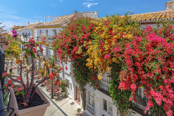 Jungle Studio | Marbella Old Town - Marbella