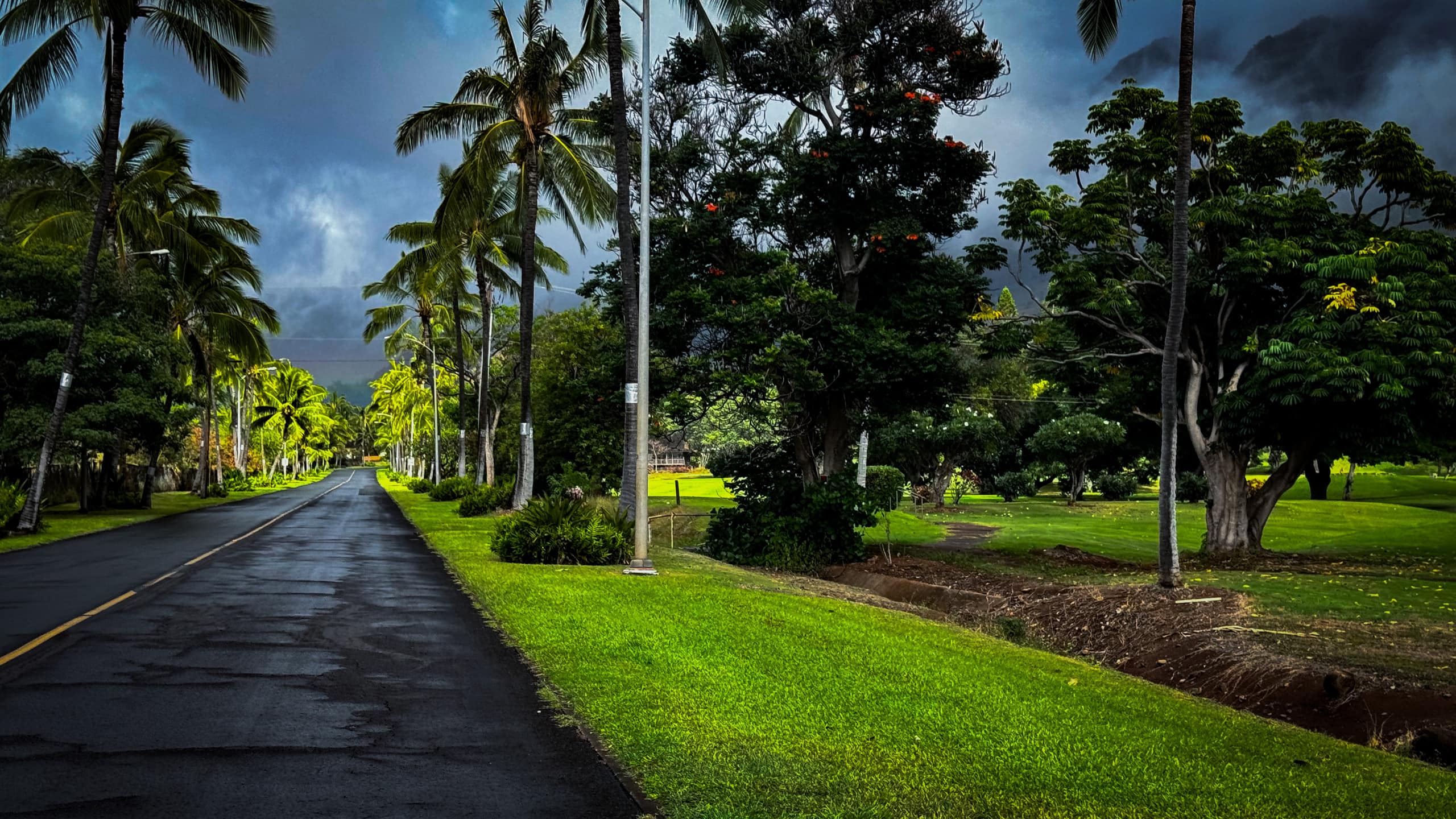 Guesthouse in Waianae · ★4.9 · 1 bedroom · 2 beds · 1 private bath - Image 65