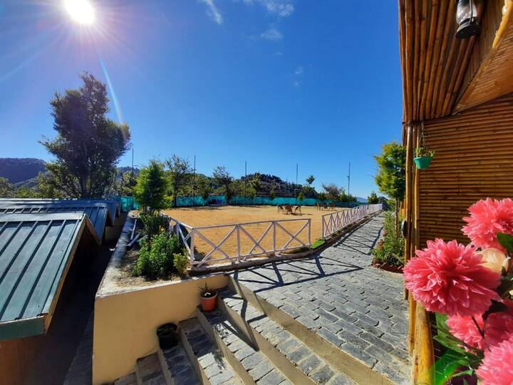 Welcome To Celeb's Resort, The Lap Of Nature ! - Shimla