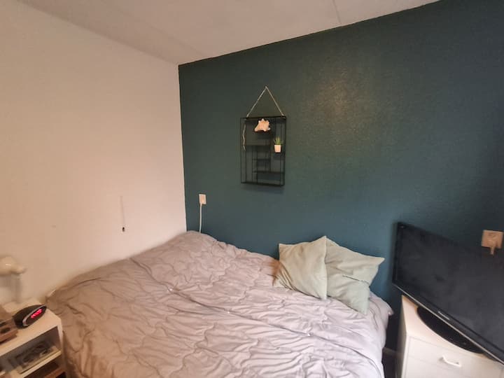 Хубава уютна стая в предната част на къщата с изглед към парка. Леглото е наскоро подменено през 2025 г. и е много удобно (размер 140x200). Все още работим по декорацията, така че стаята ще бъде по-красива в реалния живот. 