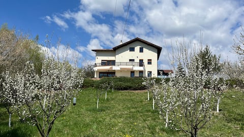 Large hillside villa with fireplace and views