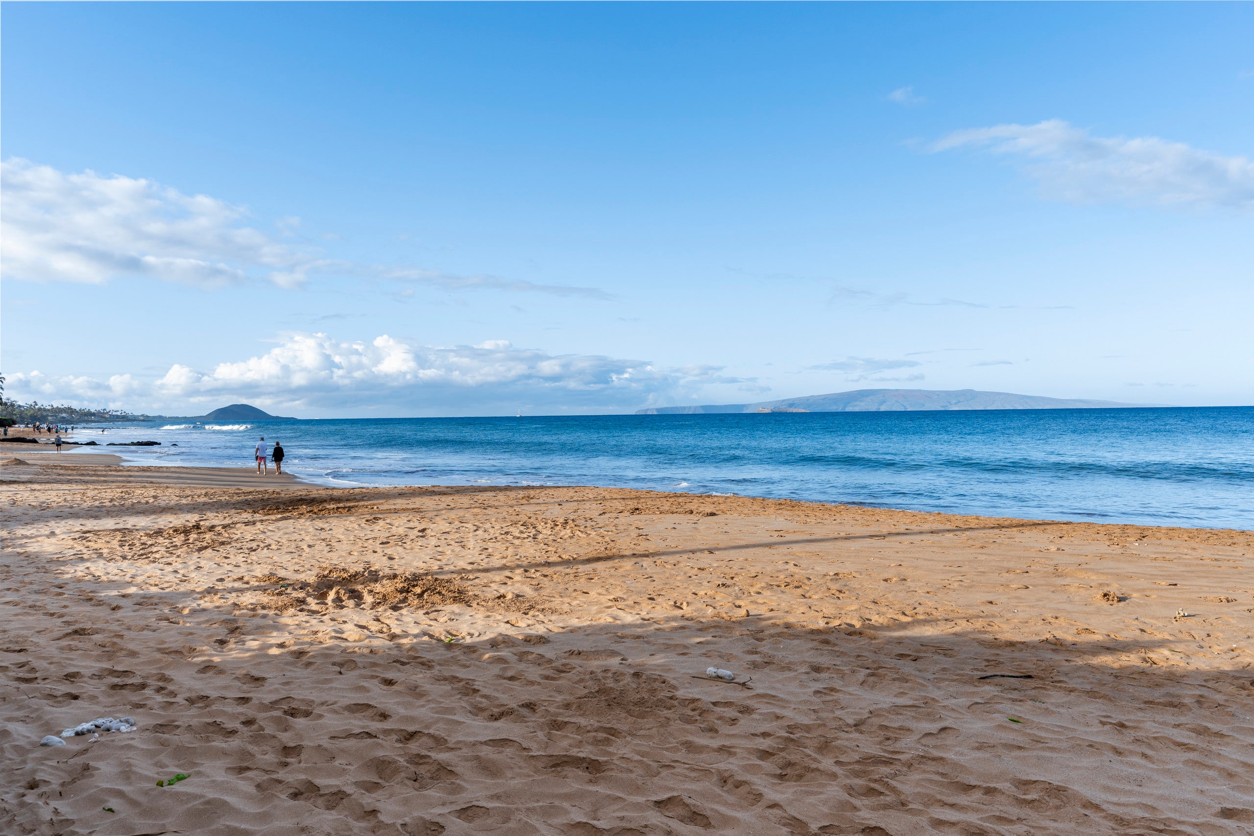 Condo in Kihei · ★4.95 · 2 bedrooms · 3 beds · 2 private baths - Image 39