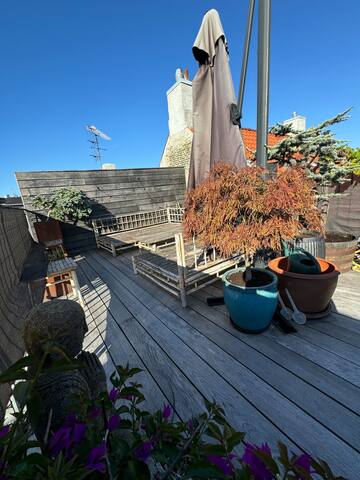 45sqm Private rooftop, 140sqm cosy apartment