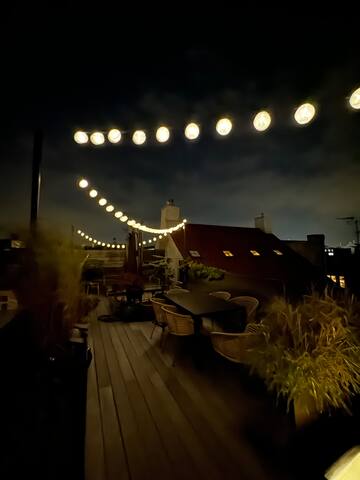 45sqm Private rooftop, 140sqm cosy apartment gallery image 5