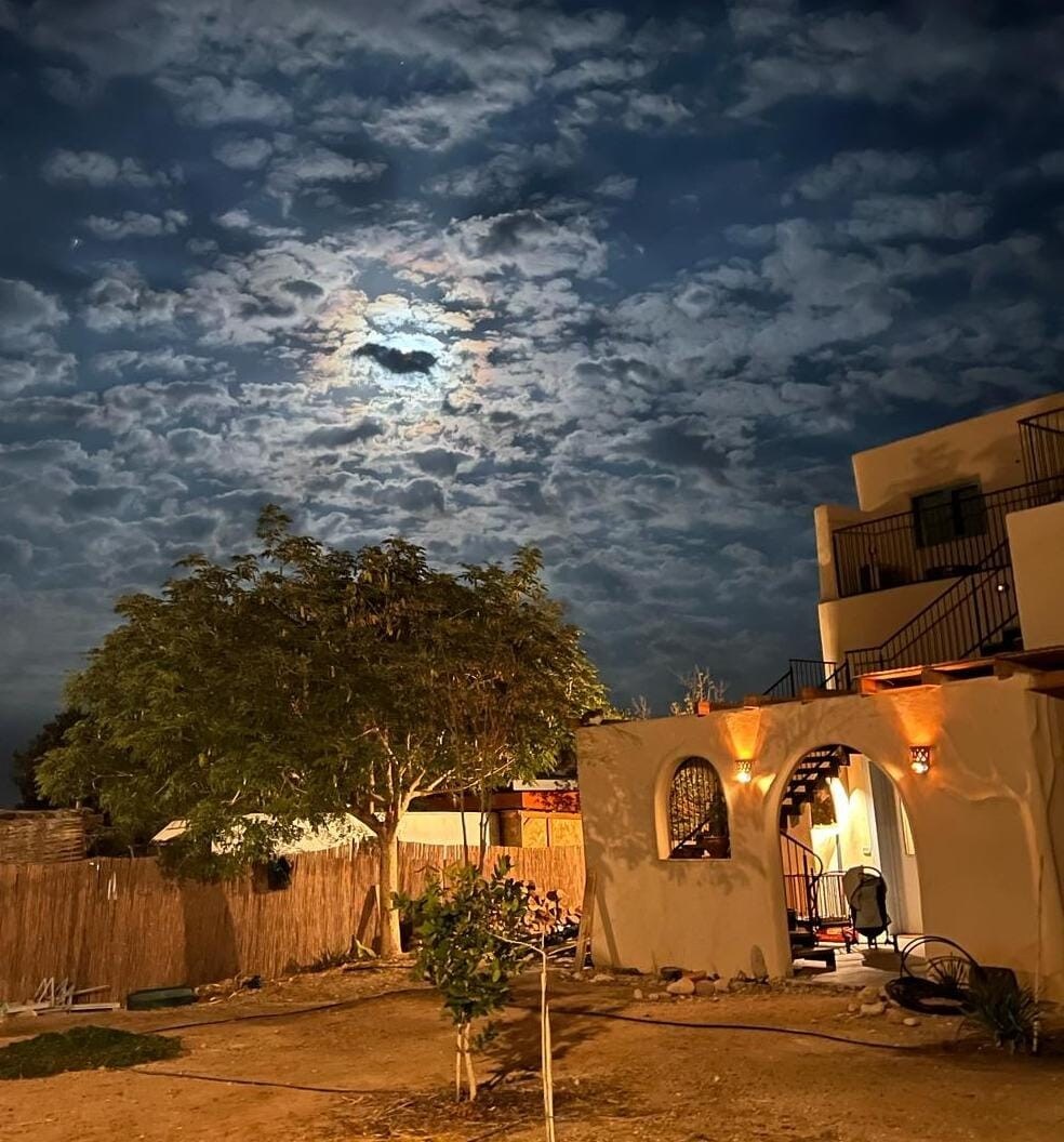 A serene outdoor space showcases a well-maintained garden with a large tree beneath a cloudy night sky. The glow of the moonlight gently illuminates the surrounding area, highlighting the details of the two-story building and a welcoming staircase.