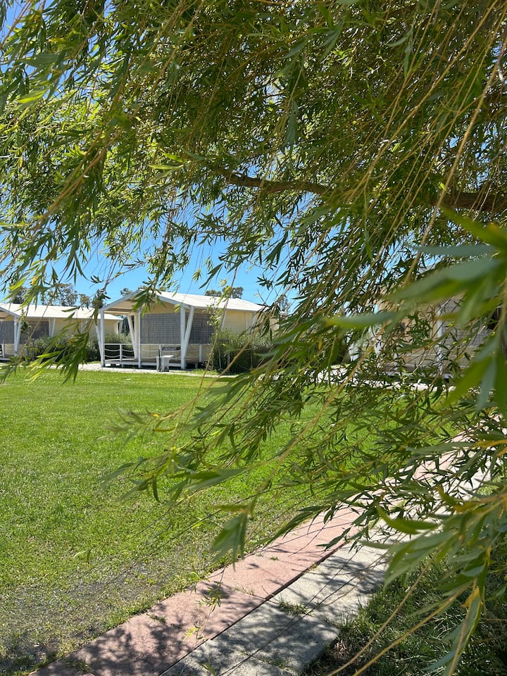 Glamping Safari - Follonica