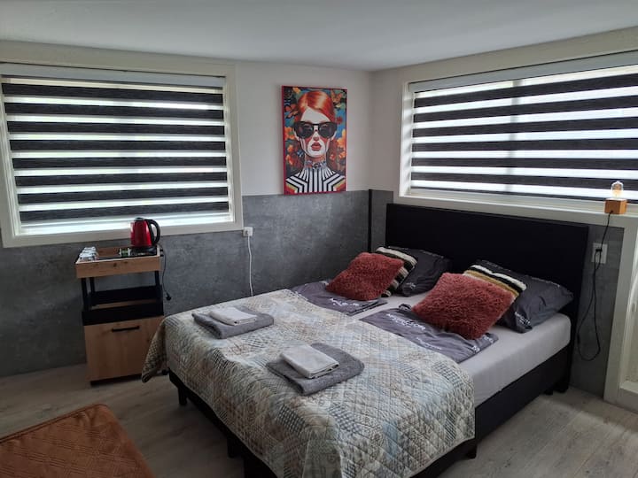 Nice Room 15 Minutes From Amsterdam City Center - Zaandam