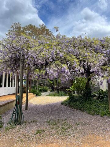 The Valley Farmhouse gallery image 3