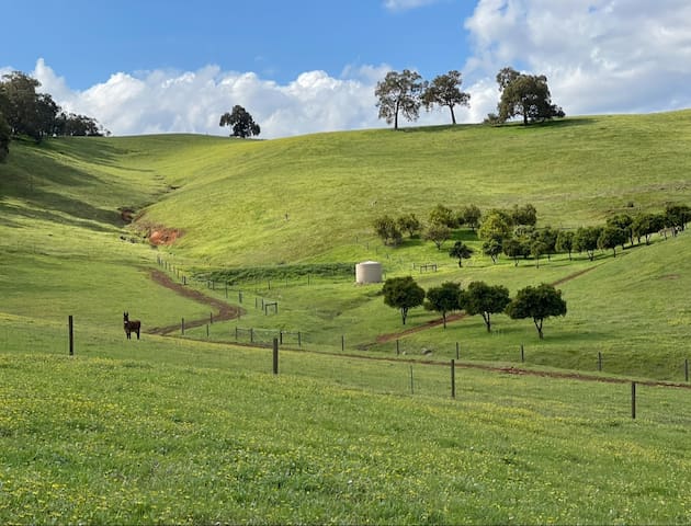 The Valley Farmhouse